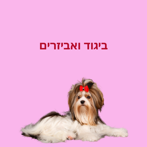 ביגוד ואביזרים