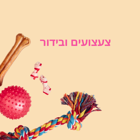 צעצועים ובידור