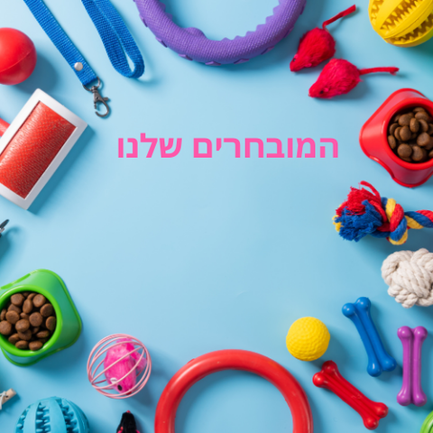 המובחרים שלנו