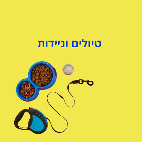 טיולים וניידות